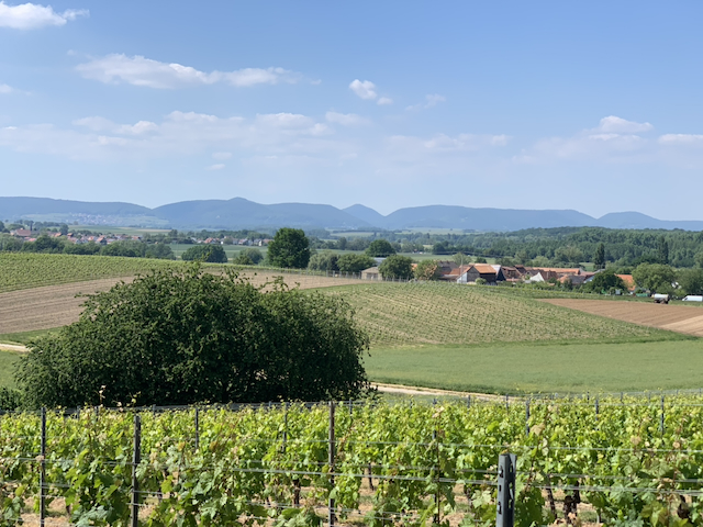 Blick auf Hergersweiler und die umliegende Landschaft