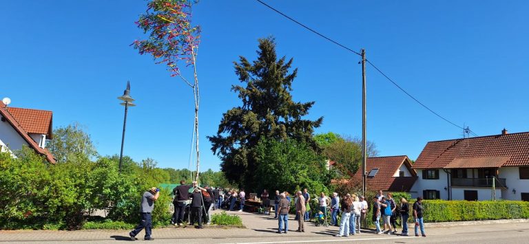 Maibaumstellen – 725 Jahre Hergersweiler